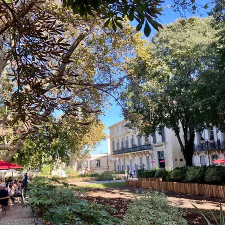 T2 Beaux Arts Parking Prive Gratuit Daire Montpellier
